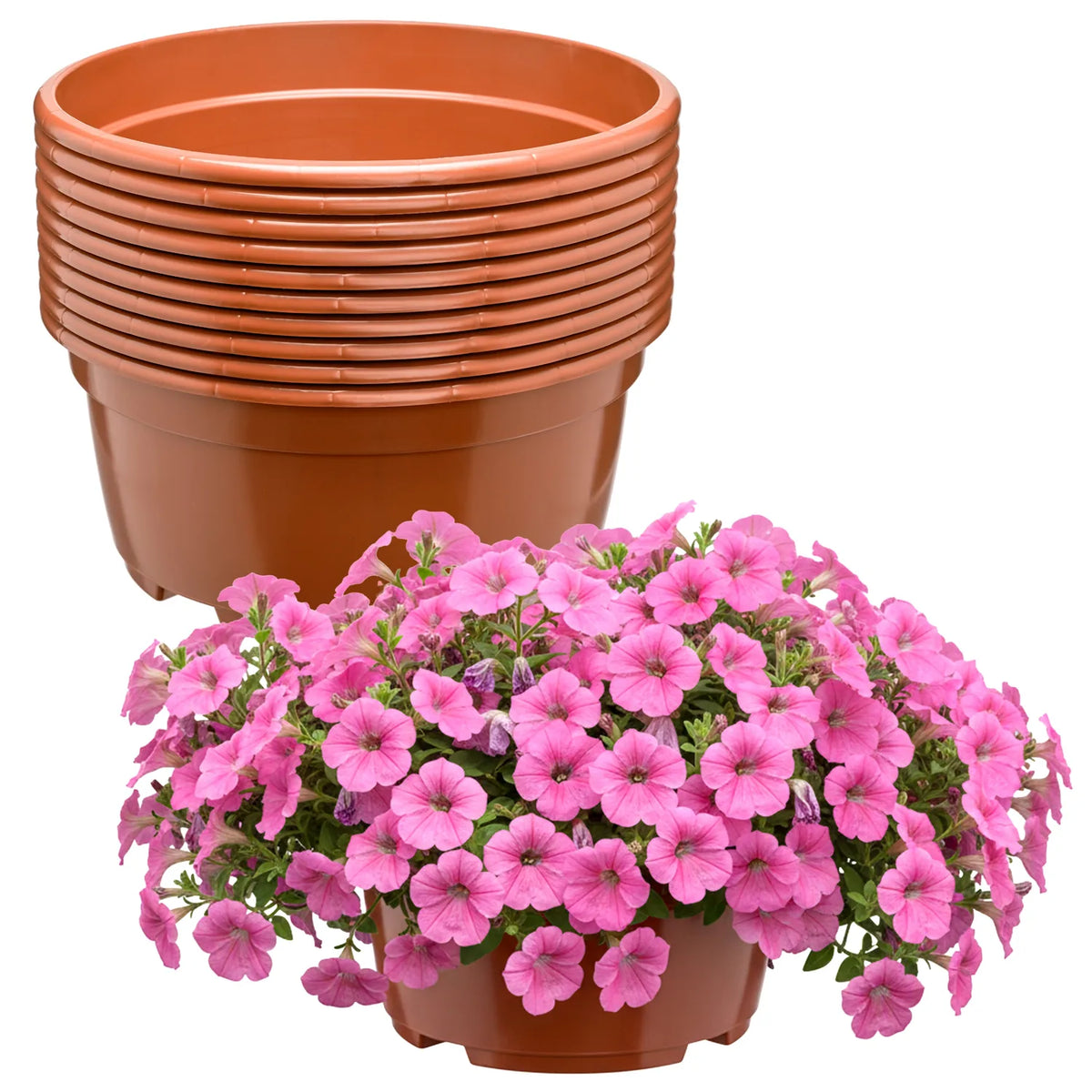 #Größe_Ø21 x 10,5 cm (3L)#Set_10 Töpfe#Farbe_Terrakotta