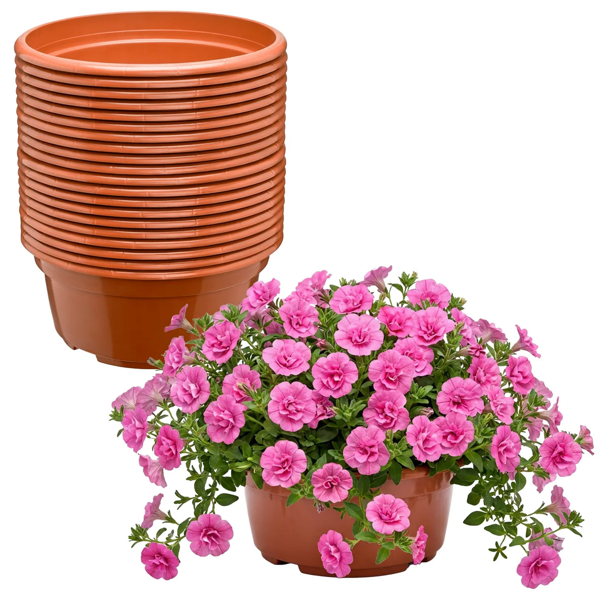 #Größe_Ø23 x 11 cm (3,5L)#Set_20 Töpfe#Farbe_Terrakotta