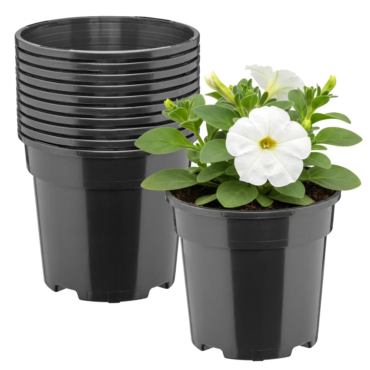 #Größe_Ø13 x 11,5 cm (1L)#Set_10 Töpfe