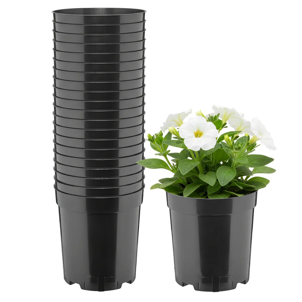 #Größe_Ø14 x 15 cm (2L)#Set_20 Töpfe