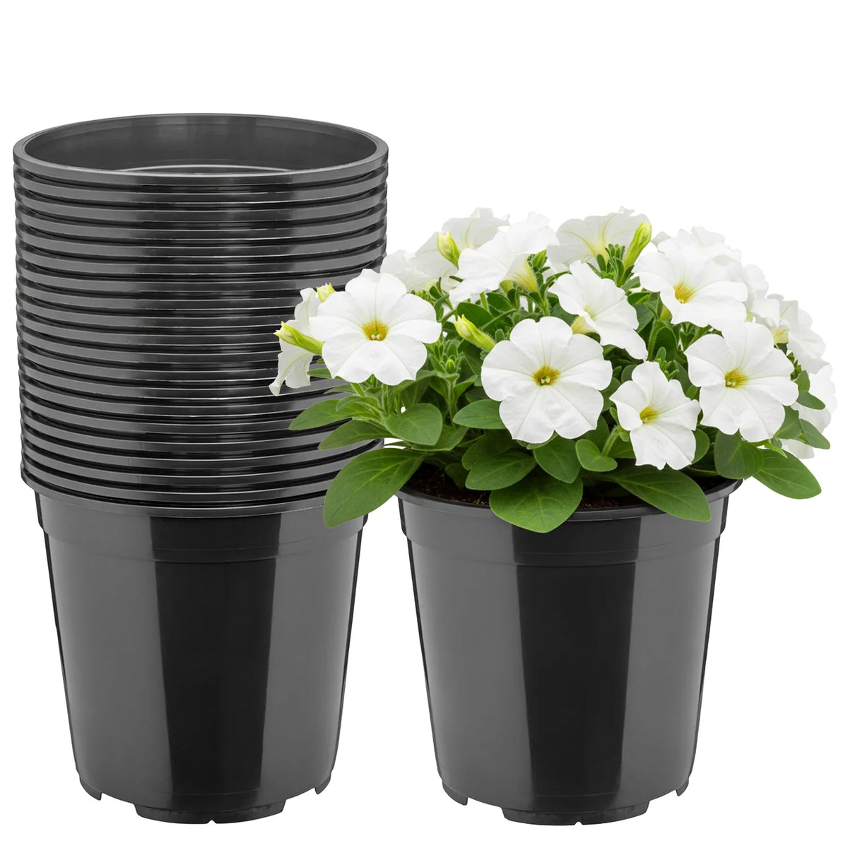 #Größe_Ø20 x 19 cm (4L)#Set_20 Töpfe