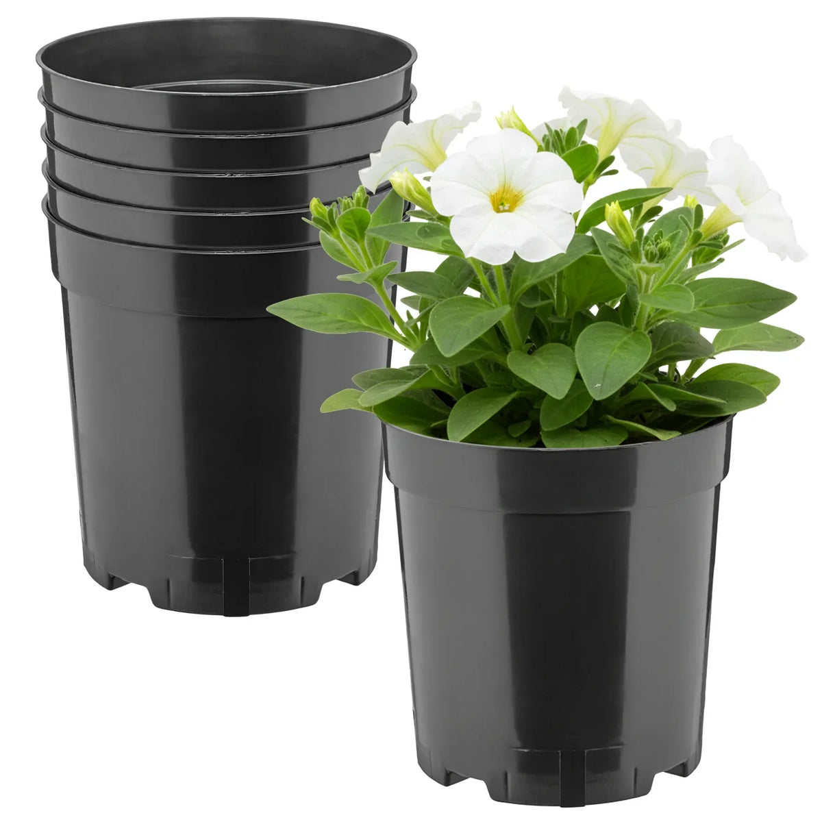#Größe_Ø14 x 15 cm (2L)#Set_5 Töpfe
