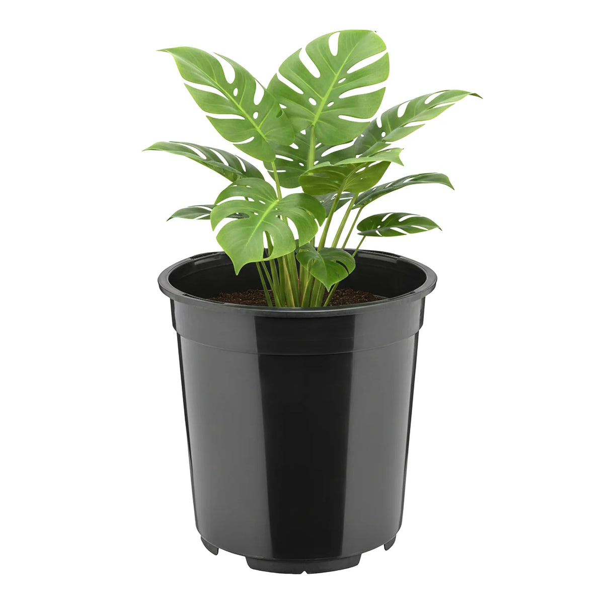#Größe_Ø21 x 20 cm (5L)#Set_1 Topf