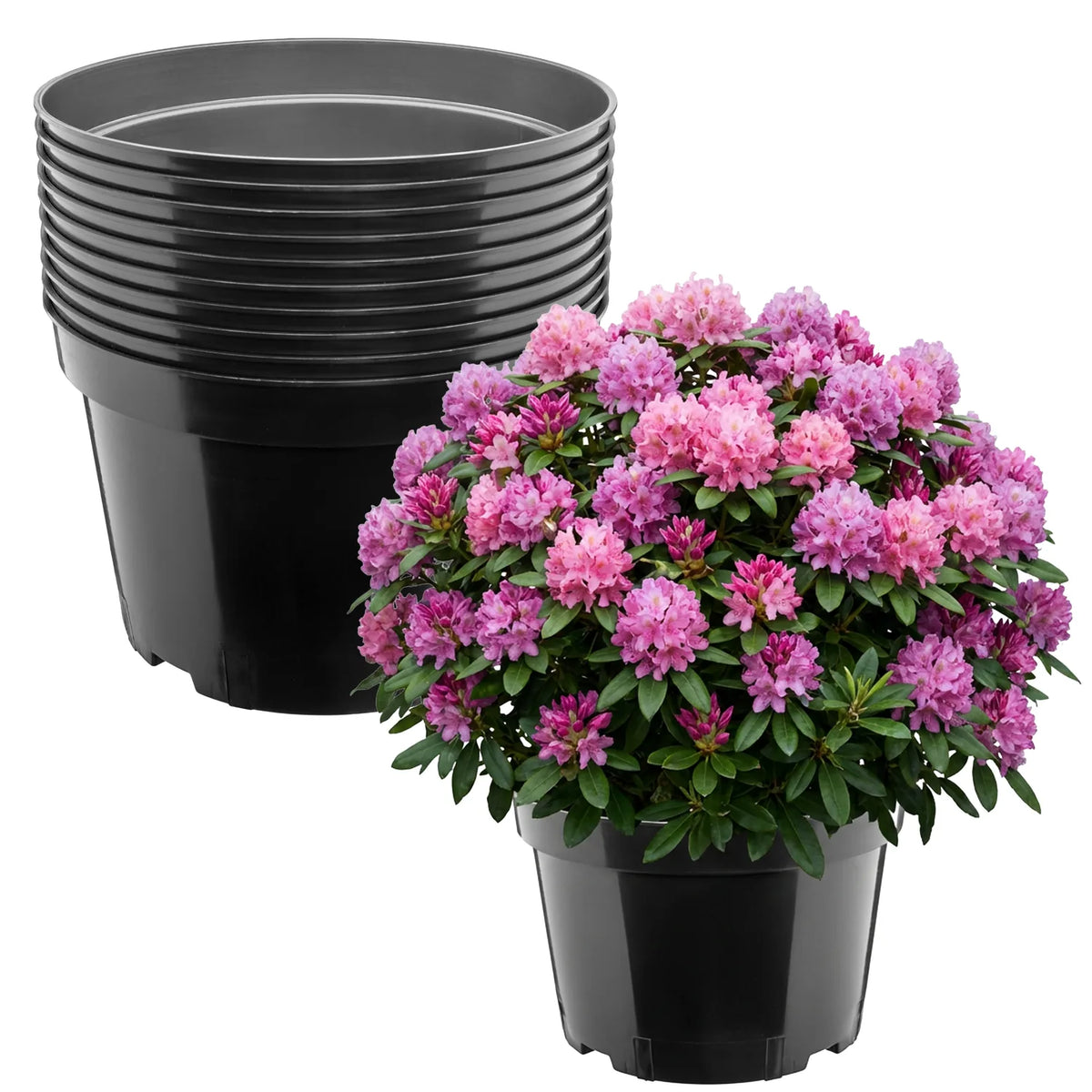 #Größe_Ø34 x 22 cm (15L)#Set_10 Töpfe