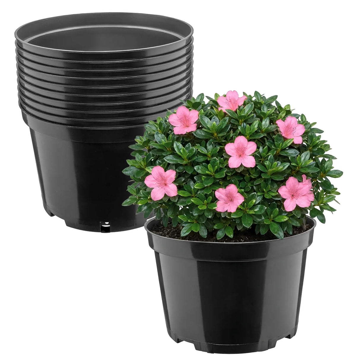 #Größe_Ø22 x 14,5 cm (4L)#Set_10 Töpfe
