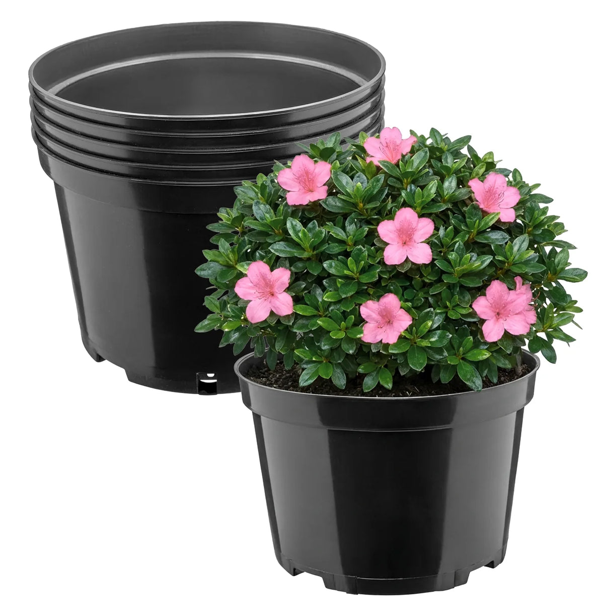 #Größe_Ø22 x 14,5 cm (4L)#Set_5 Töpfe