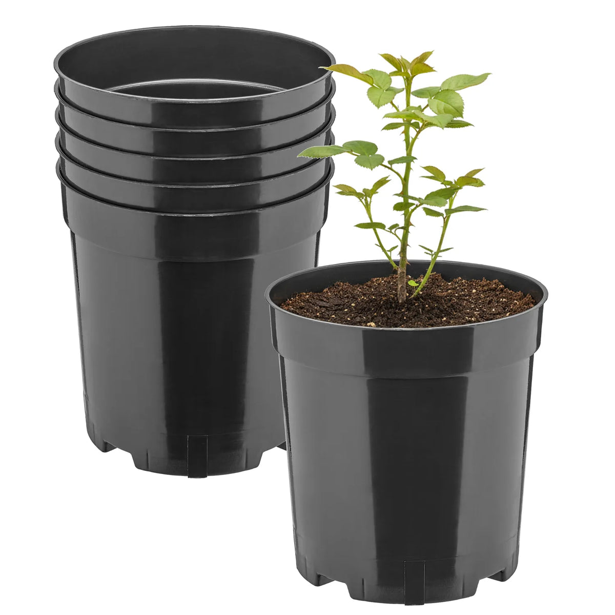 #Größe_Ø14 x 18 cm (2L)#Set_5 Töpfe