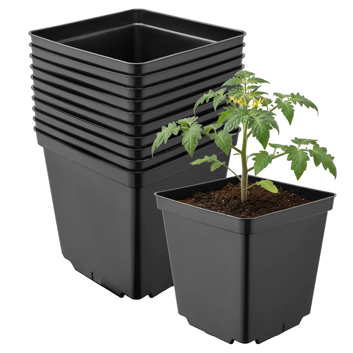 #Größe_15 x 15 x 15 cm (2,5L)#Set_10 Töpfe