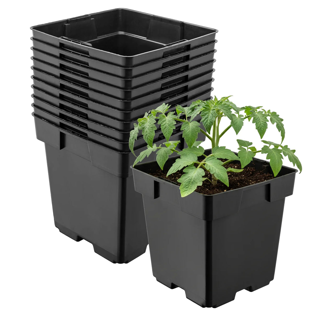#Größe_14 x 14 x 14 cm (2L)#Set_10 Töpfe