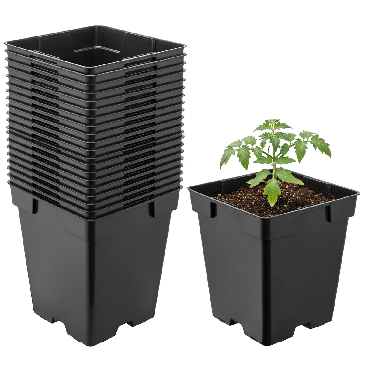 #Größe_11 x 11 x 12 cm (1L)#Set_20 Töpfe