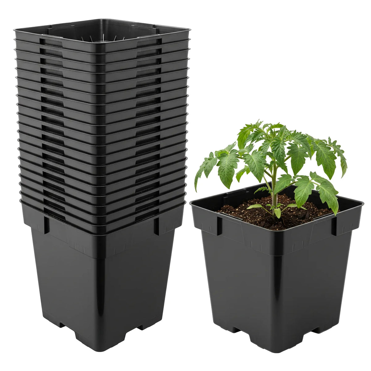 #Größe_16 x 16 x 16 cm (3L)#Set_20 Töpfe