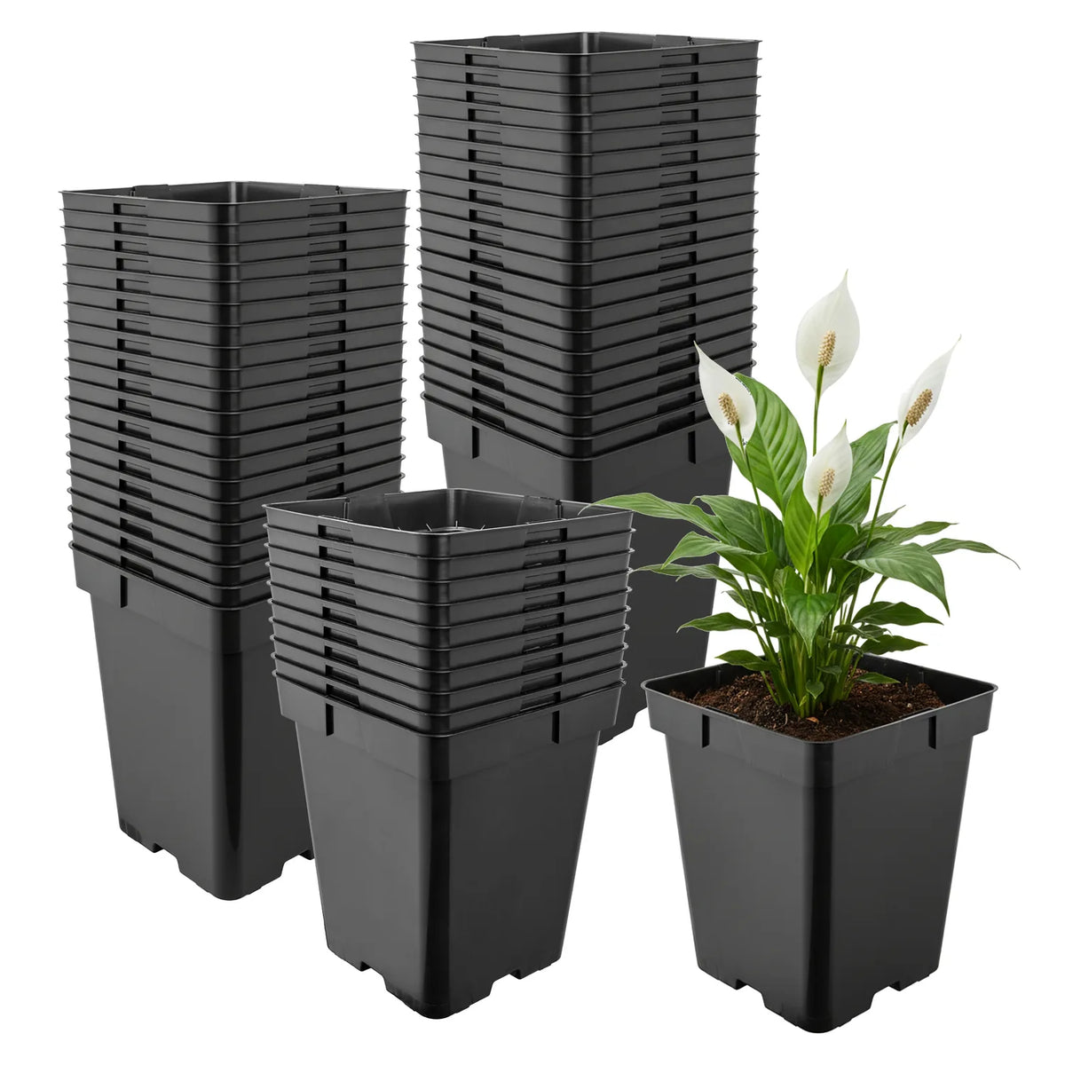 #Größe_19,5 x 19,5 x 19 cm (5L)#Set_50 Töpfe