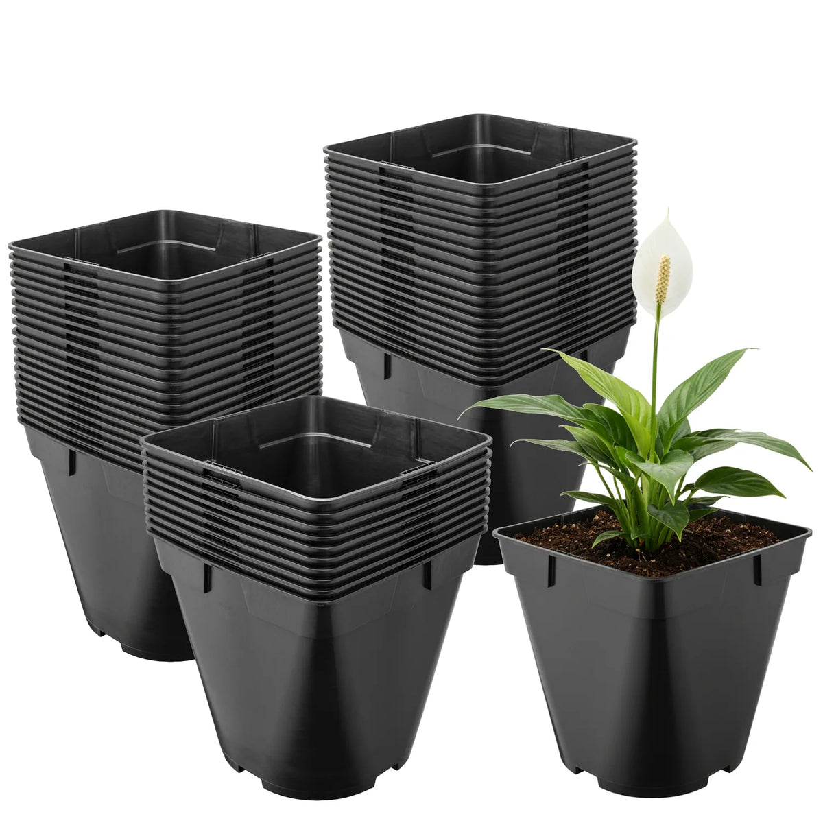 #Größe_18 x 18 x 18 cm (4L)#Set_50 Töpfe
