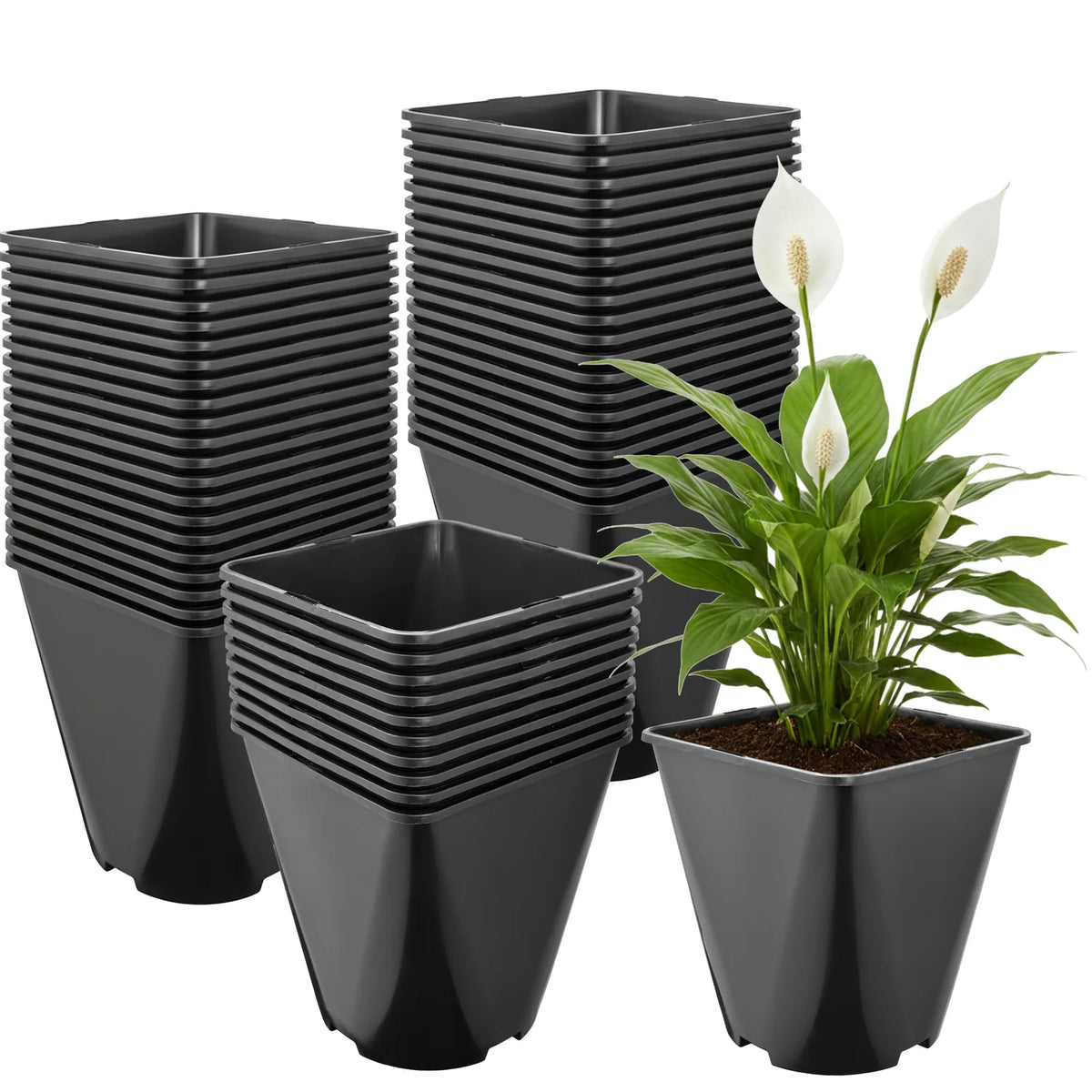 #Größe_18 x 18 x 20 cm (5L)#Set_50 Töpfe