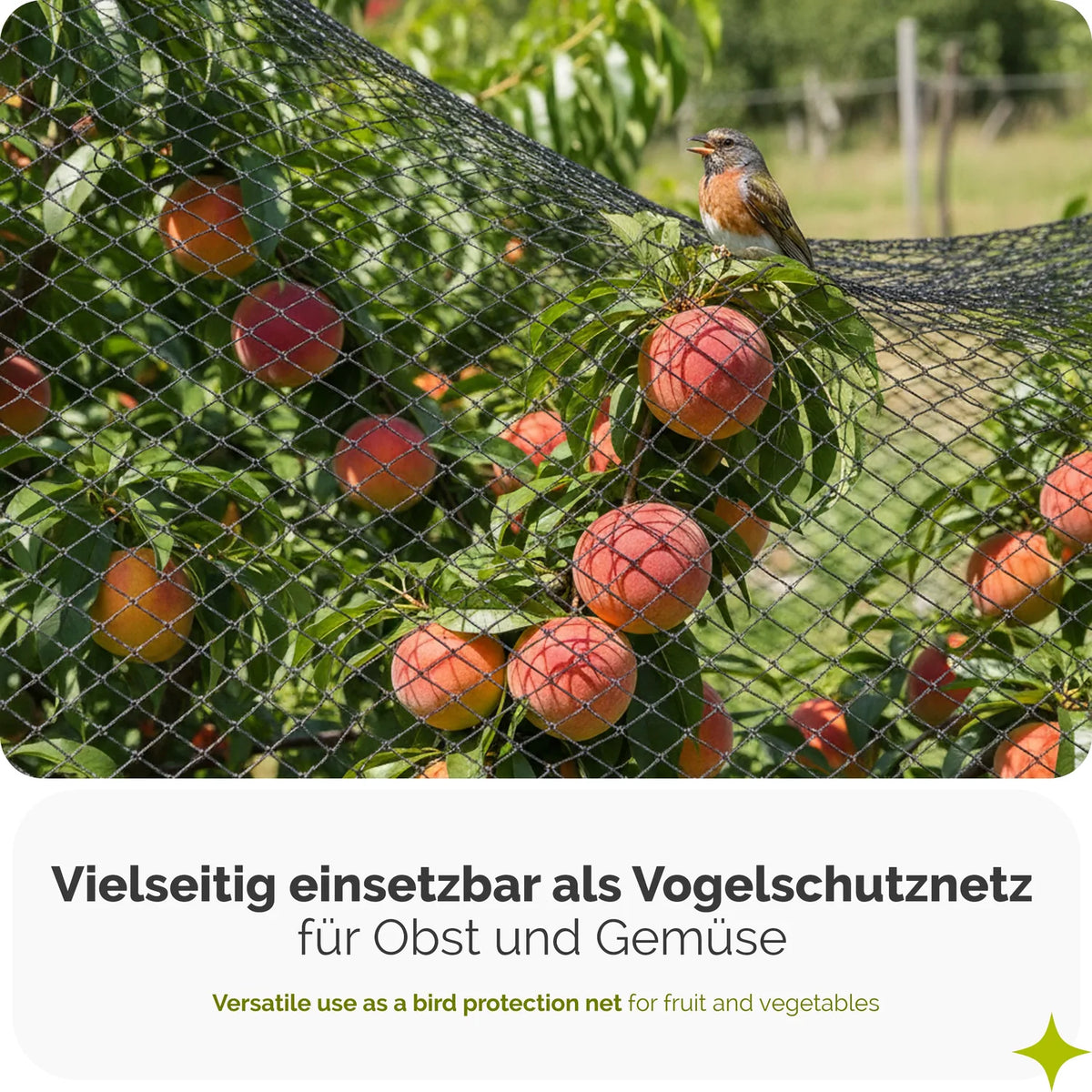 Vogelschutznetz 20 x 20 mm Vogelnetz für Garten, Teich & Balkon GD-0194