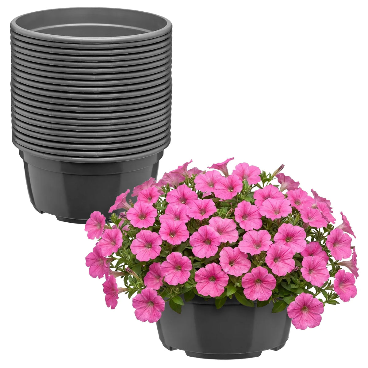 #Größe_Ø 19 x 9,5 cm (2,2L)#Set_20 Töpfe#Farbe_Anthrazit