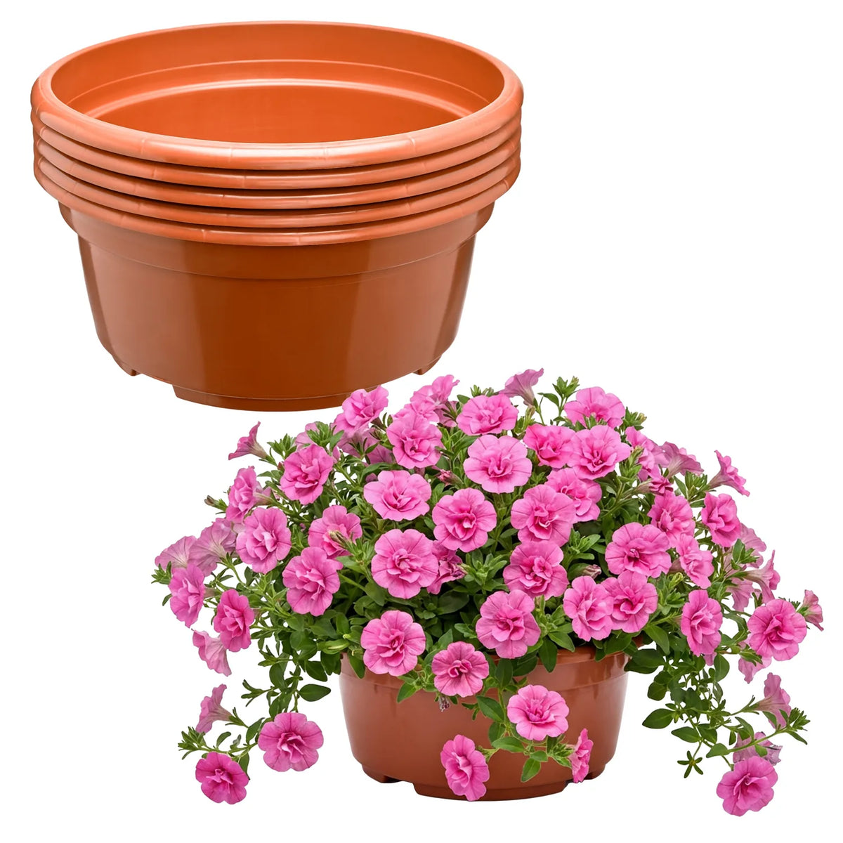 #Größe_Ø23 x 11 cm (3,5L)#Set_5 Töpfe#Farbe_Terrakotta