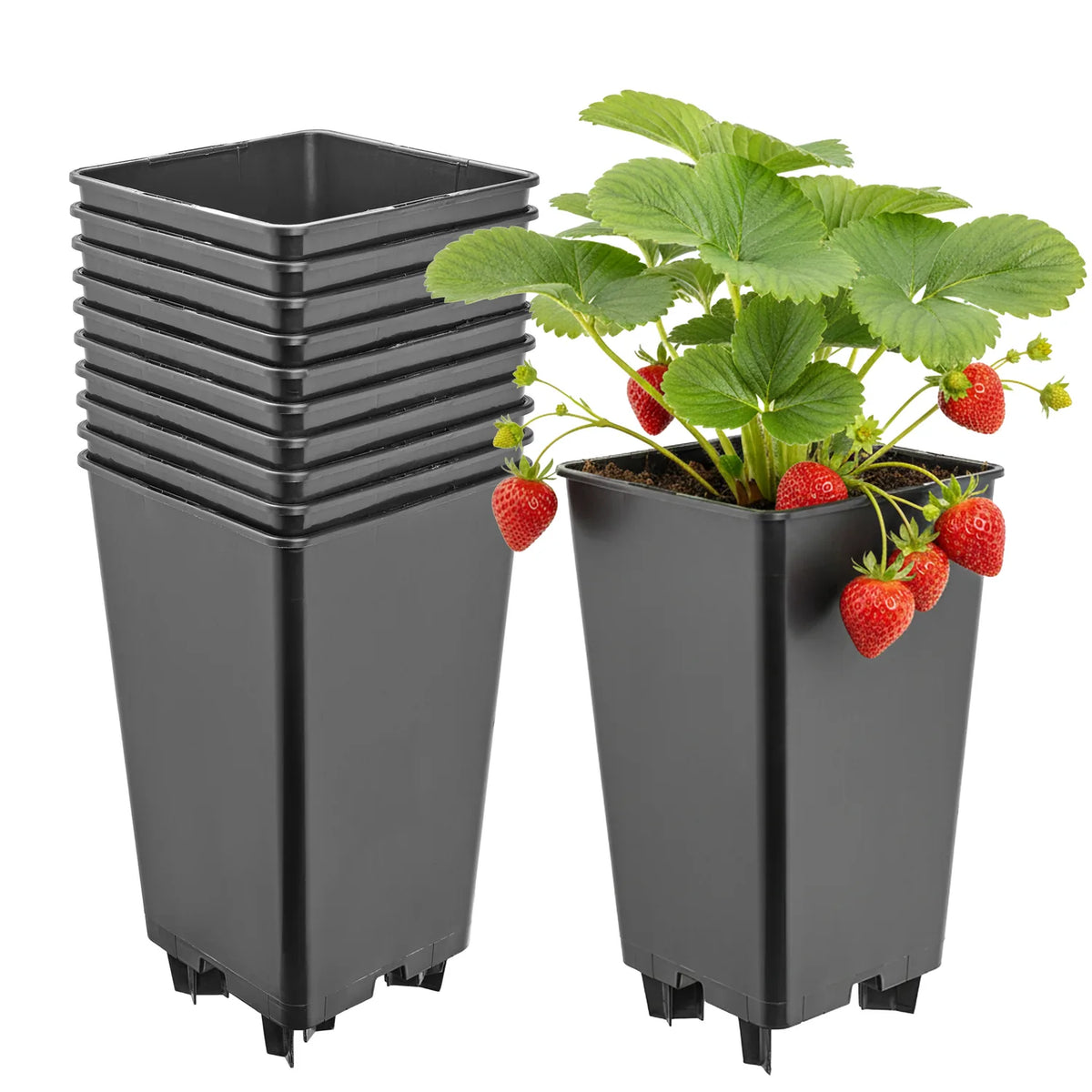 #Größe_12 x 12 x 21 cm (2L)#Set_10 Töpfe