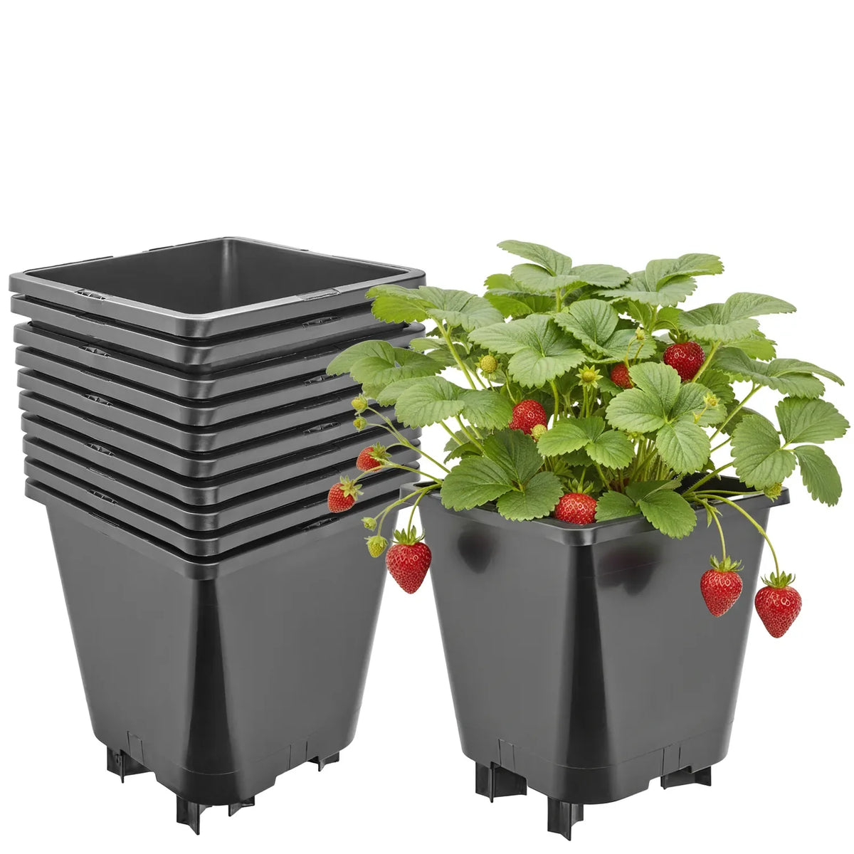 #Größe_19,5 x 19,5 x 21 cm (5L)#Set_10 Töpfe