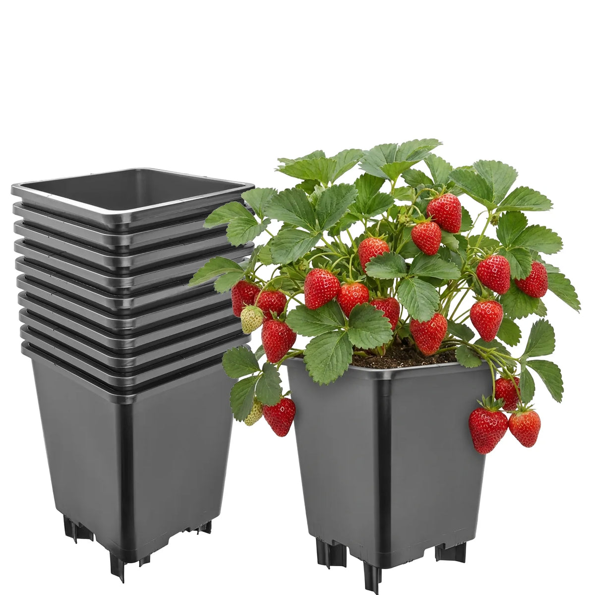 #Größe_21 x 21 x 26,5 cm (7L)#Set_10 Töpfe