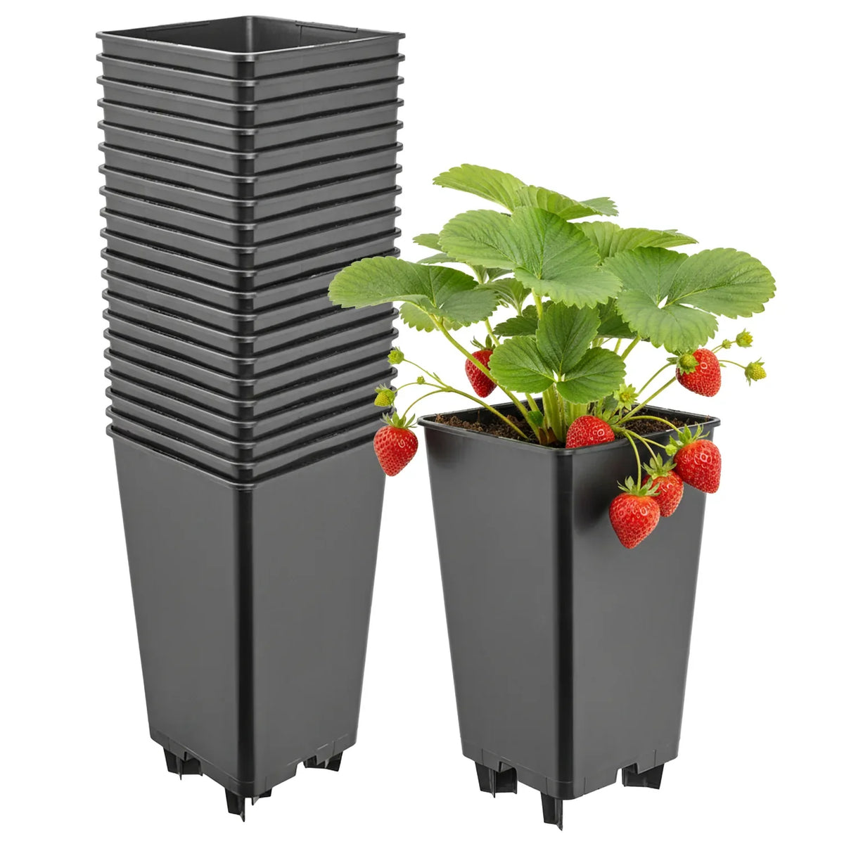 #Größe_12 x 12 x 21 cm (2L)#Set_20 Töpfe