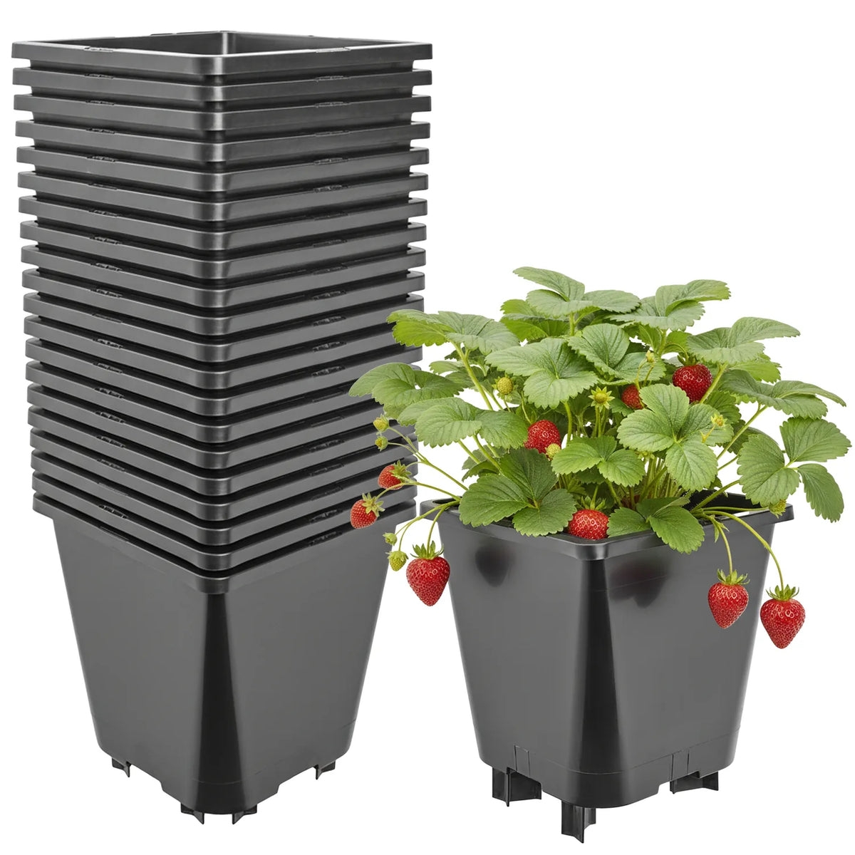 #Größe_19,5 x 19,5 x 21 cm (5L)#Set_20 Töpfe