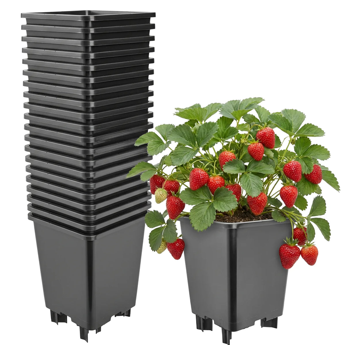#Größe_21 x 21 x 26,5 cm (7L)#Set_20 Töpfe