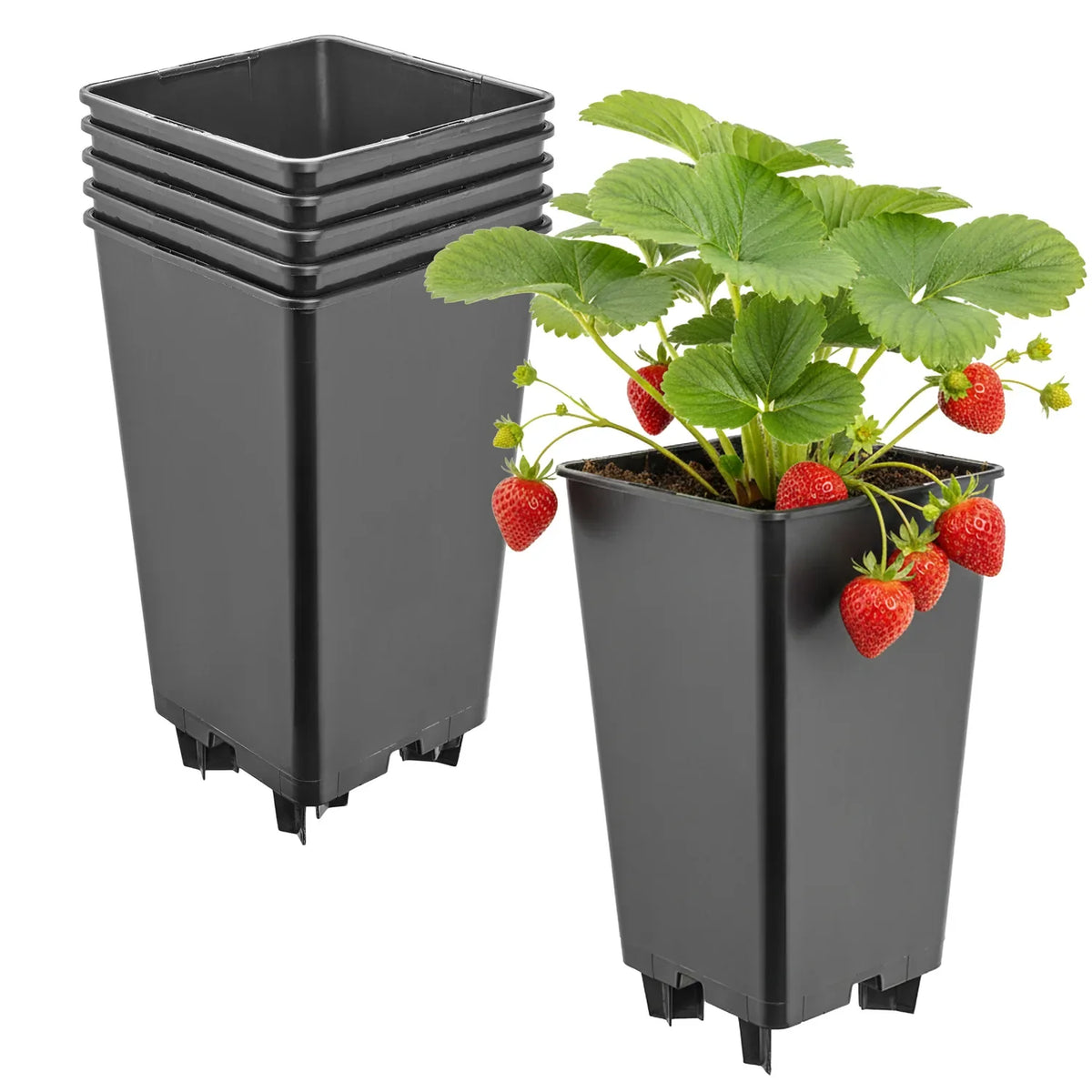 #Größe_12 x 12 x 21 cm (2L)#Set_5 Töpfe