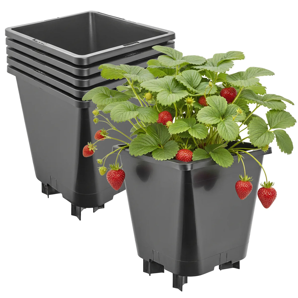 #Größe_19,5 x 19,5 x 21 cm (5L)#Set_5 Töpfe