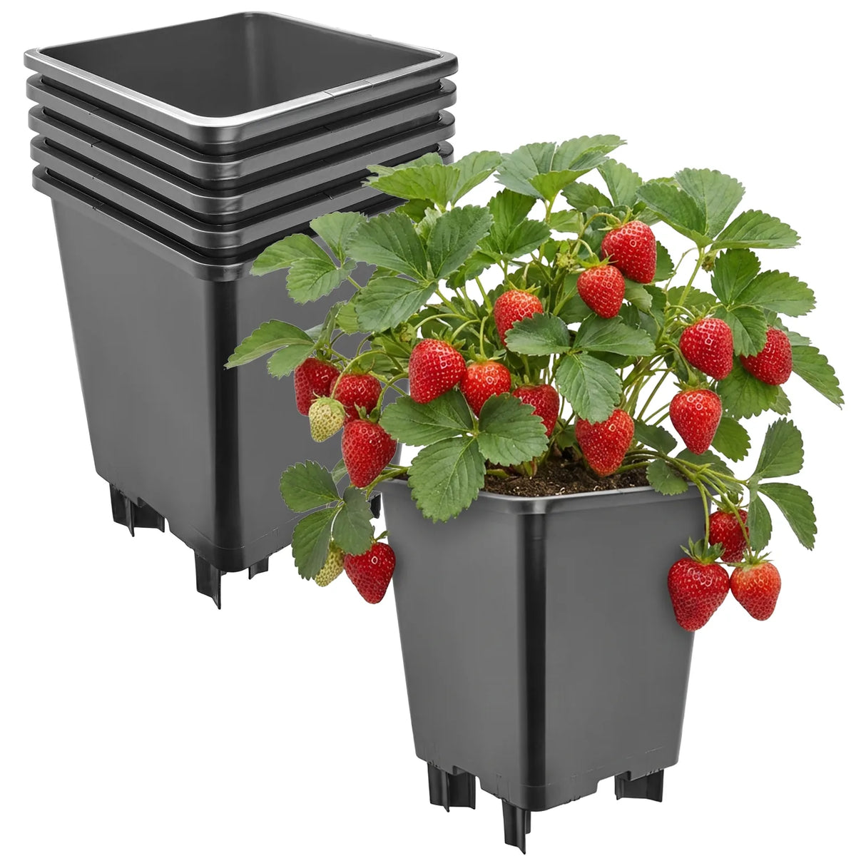 #Größe_21 x 21 x 26,5 cm (7L)#Set_5 Töpfe