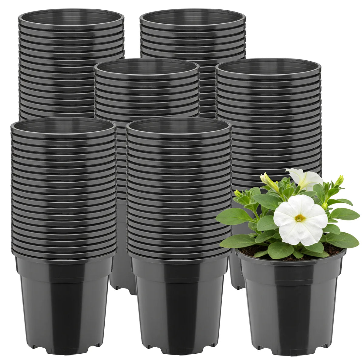 #Größe_Ø13 x 11,5 cm (1L)#Set_100 Töpfe