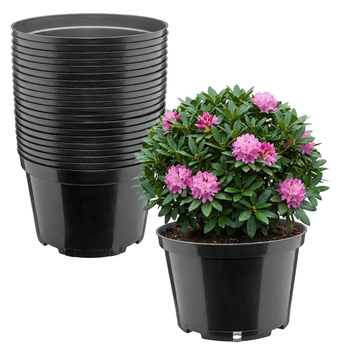#Größe_Ø24 x 15,5 cm (5L)#Set_20 Töpfe