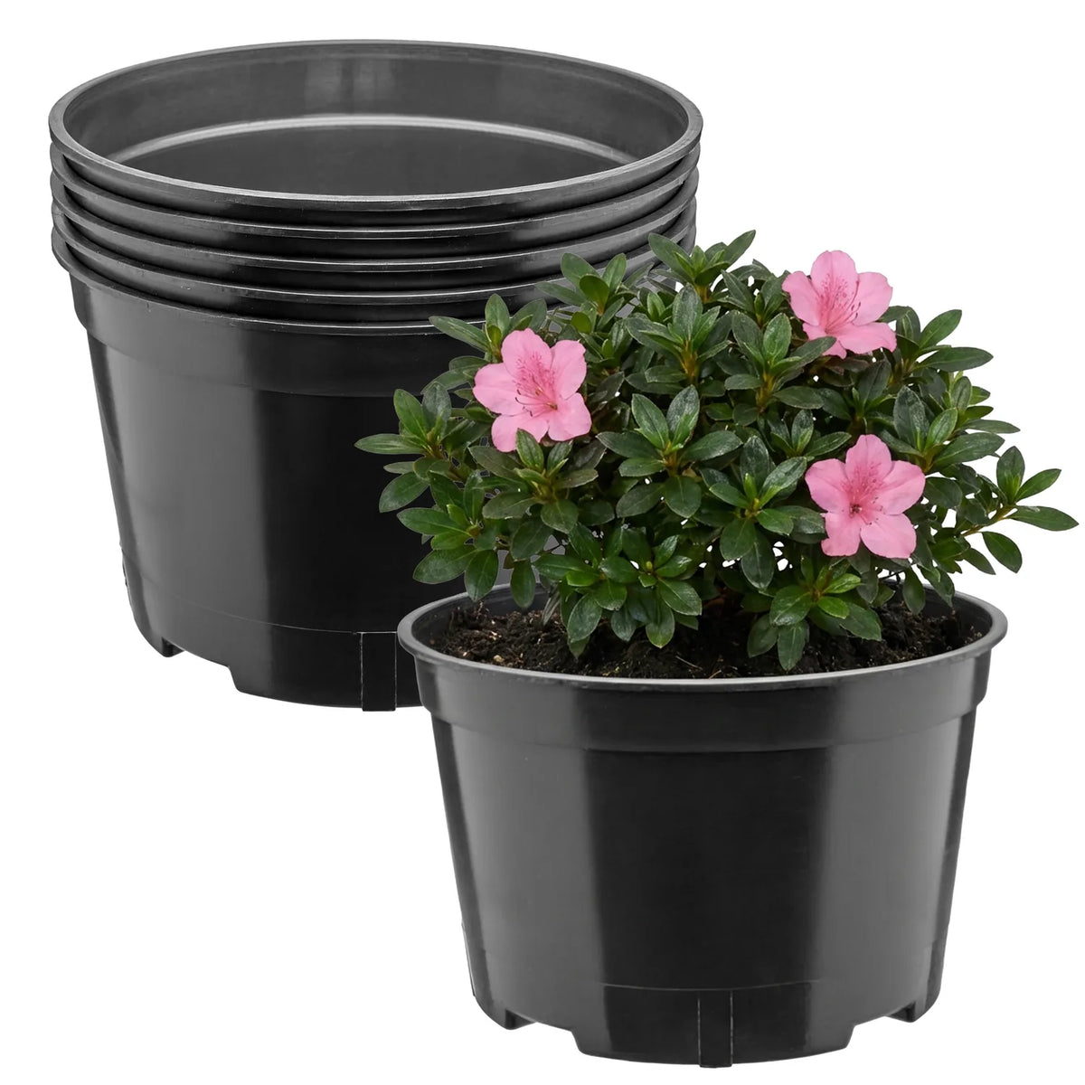 #Größe_Ø18 x 11,5 cm (2L)#Set_5 Töpfe