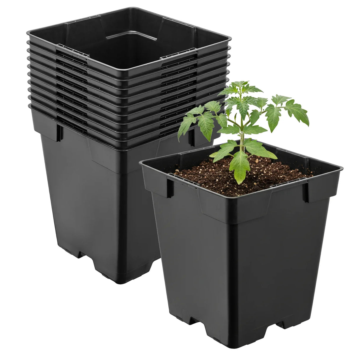#Größe_11 x 11 x 12 cm (1L)#Set_10 Töpfe