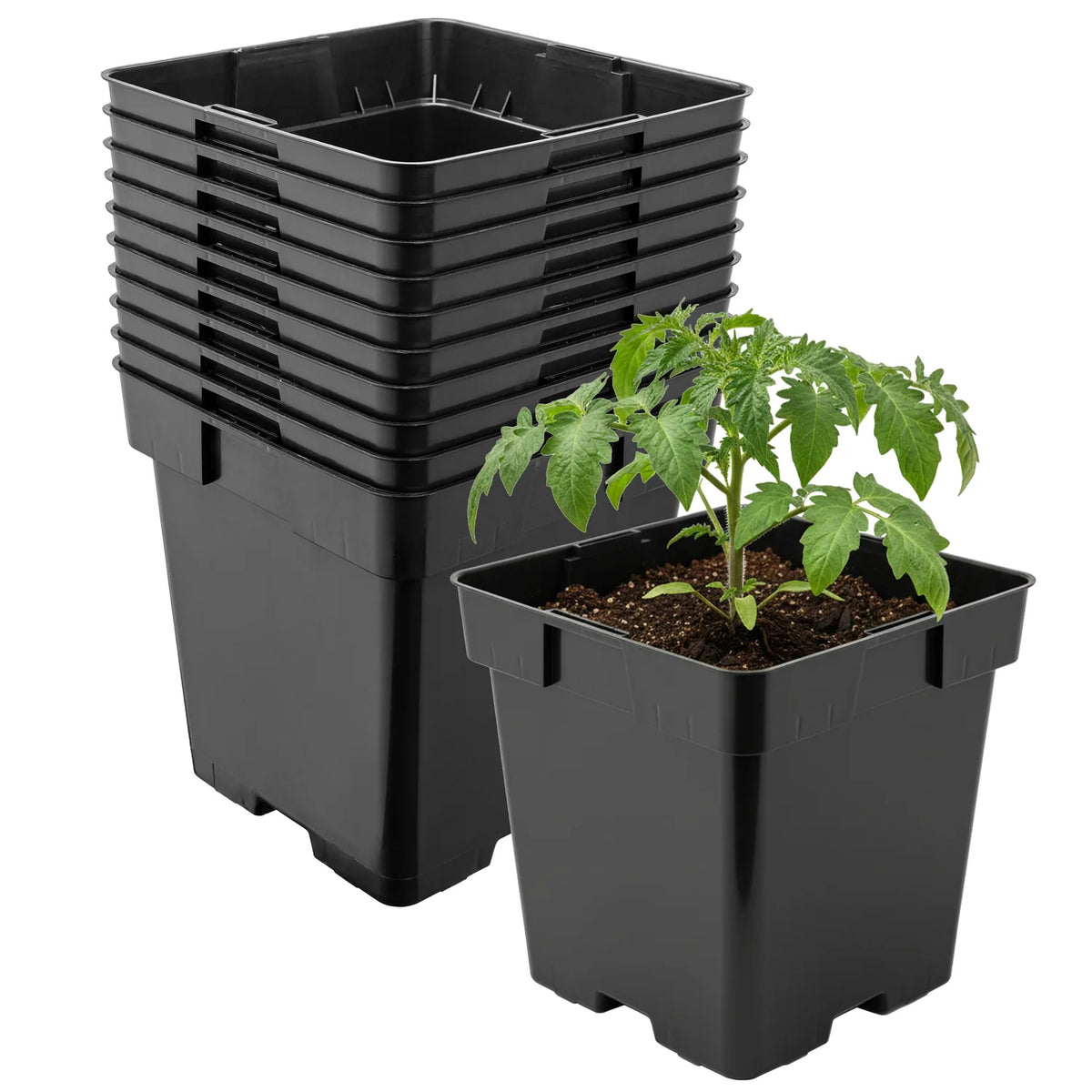 #Größe_16 x 16 x 16 cm (3L)#Set_10 Töpfe