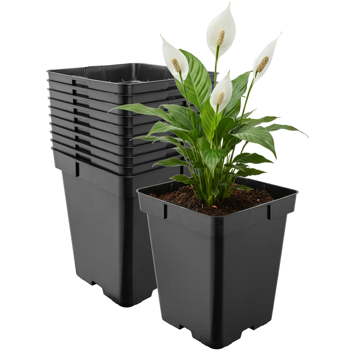 #Größe_19,5 x 19,5 x 19 cm (5L)#Set_10 Töpfe