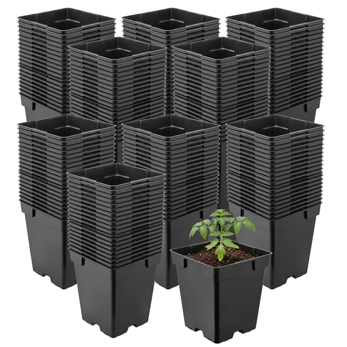 #Größe_11 x 11 x 12 cm (1L)#Set_200 Töpfe