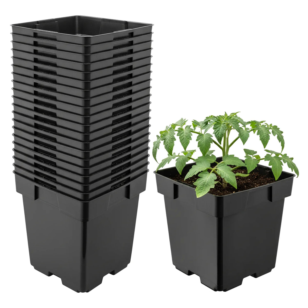 #Größe_14 x 14 x 14 cm (2L)#Set_20 Töpfe
