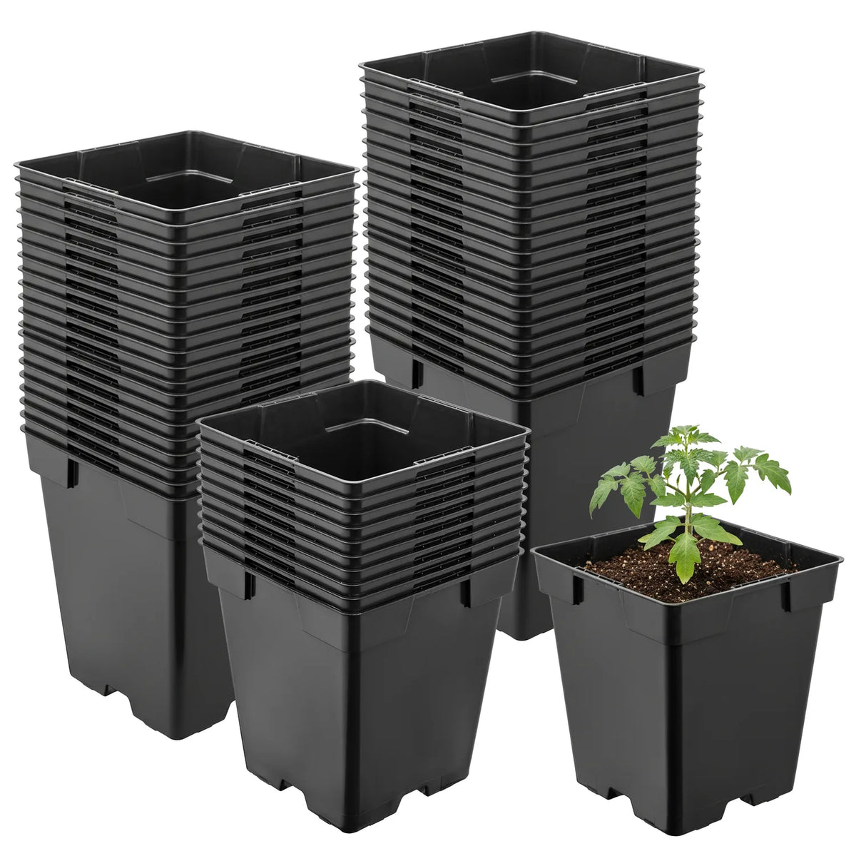 #Größe_11 x 11 x 12 cm (1L)#Set_50 Töpfe