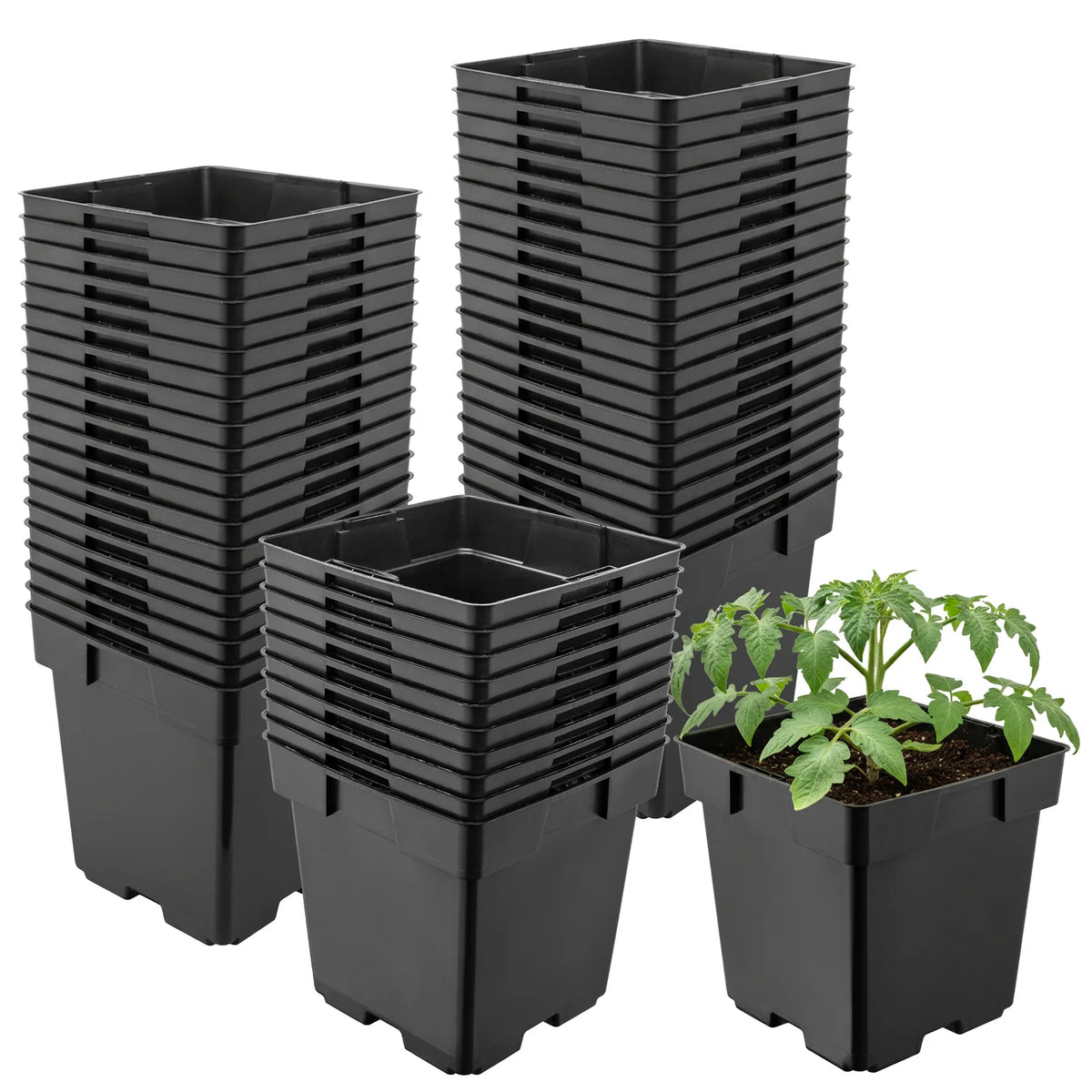 #Größe_14 x 14 x 14 cm (2L)#Set_50 Töpfe