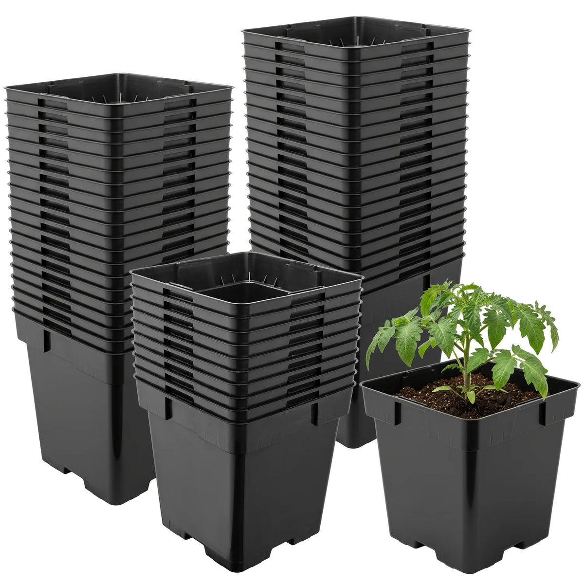 #Größe_16 x 16 x 16 cm (3L)#Set_50 Töpfe