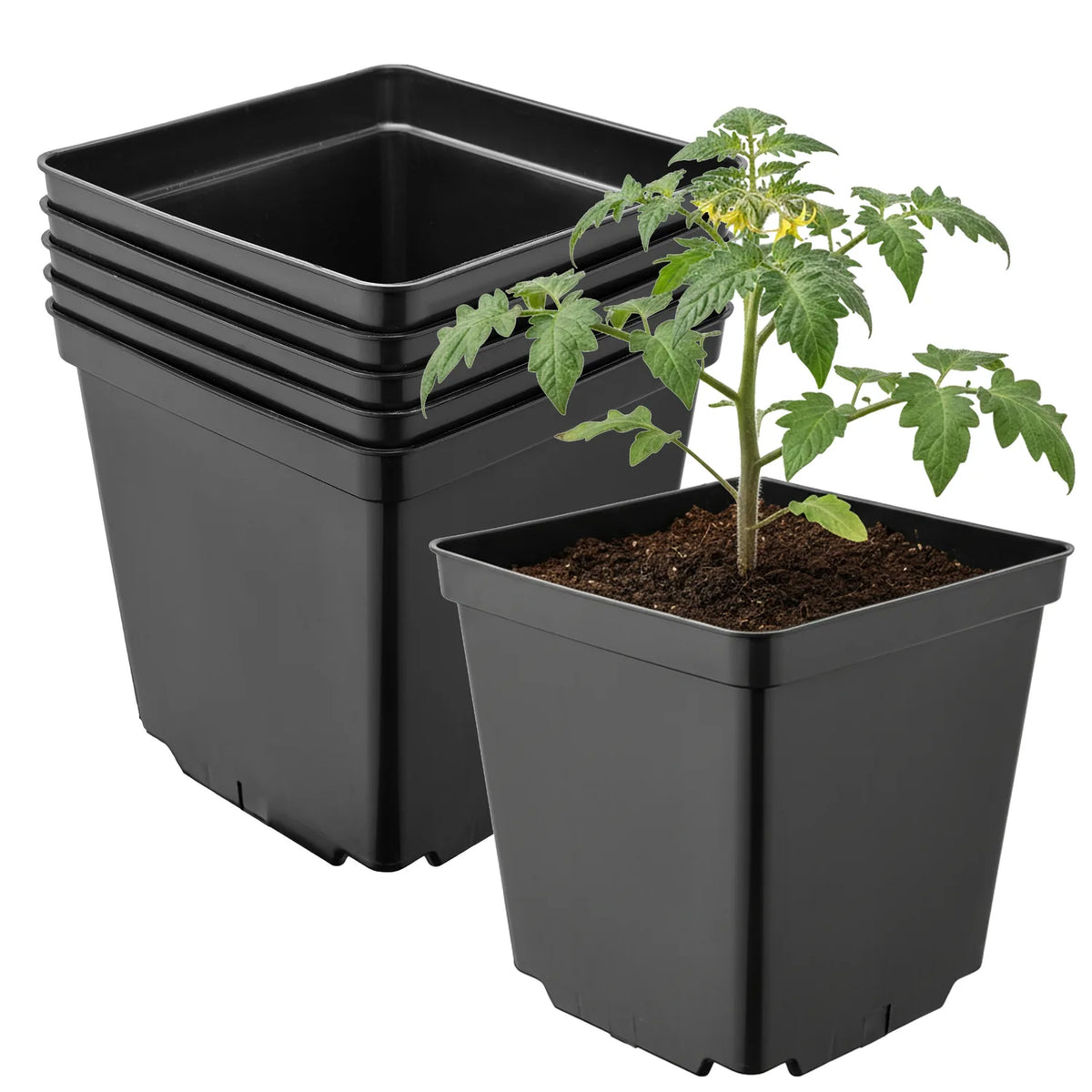 #Größe_15 x 15 x 15 cm (2,5L)#Set_5 Töpfe