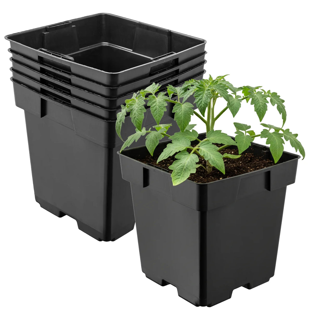 #Größe_14 x 14 x 14 cm (2L)#Set_5 Töpfe