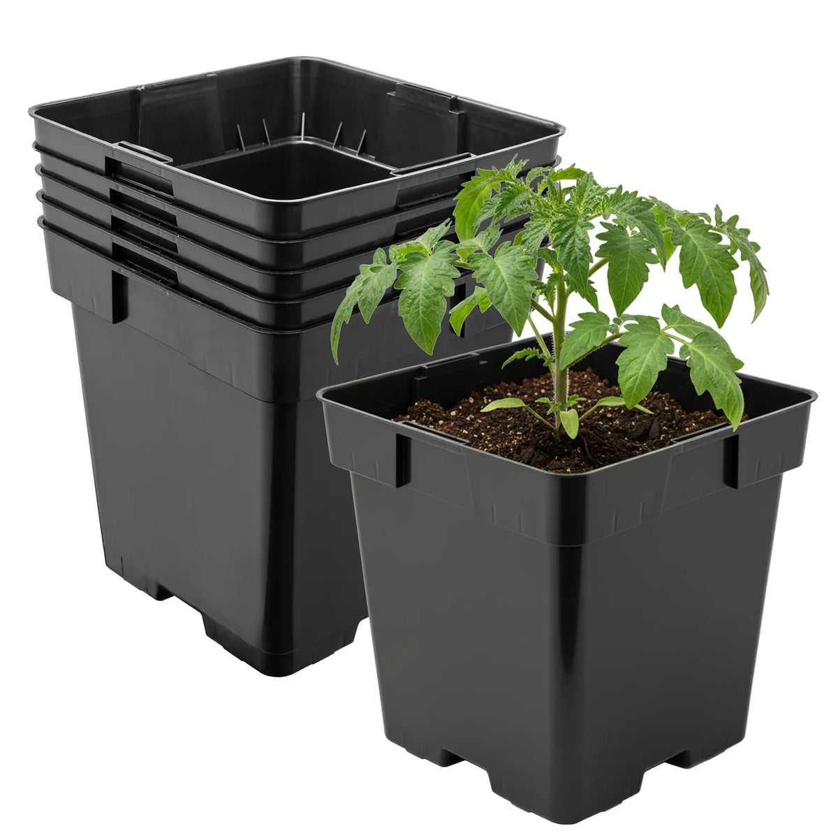 #Größe_16 x 16 x 16 cm (3L)#Set_5 Töpfe
