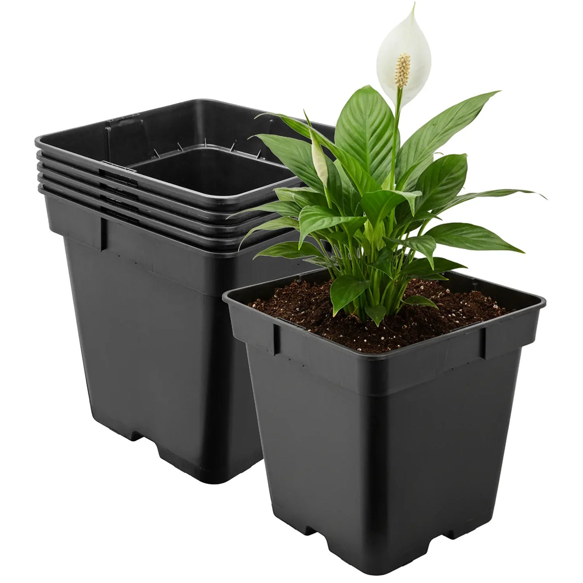 #Größe_18 x 18 x 18 cm (4L)#Set_5 Töpfe