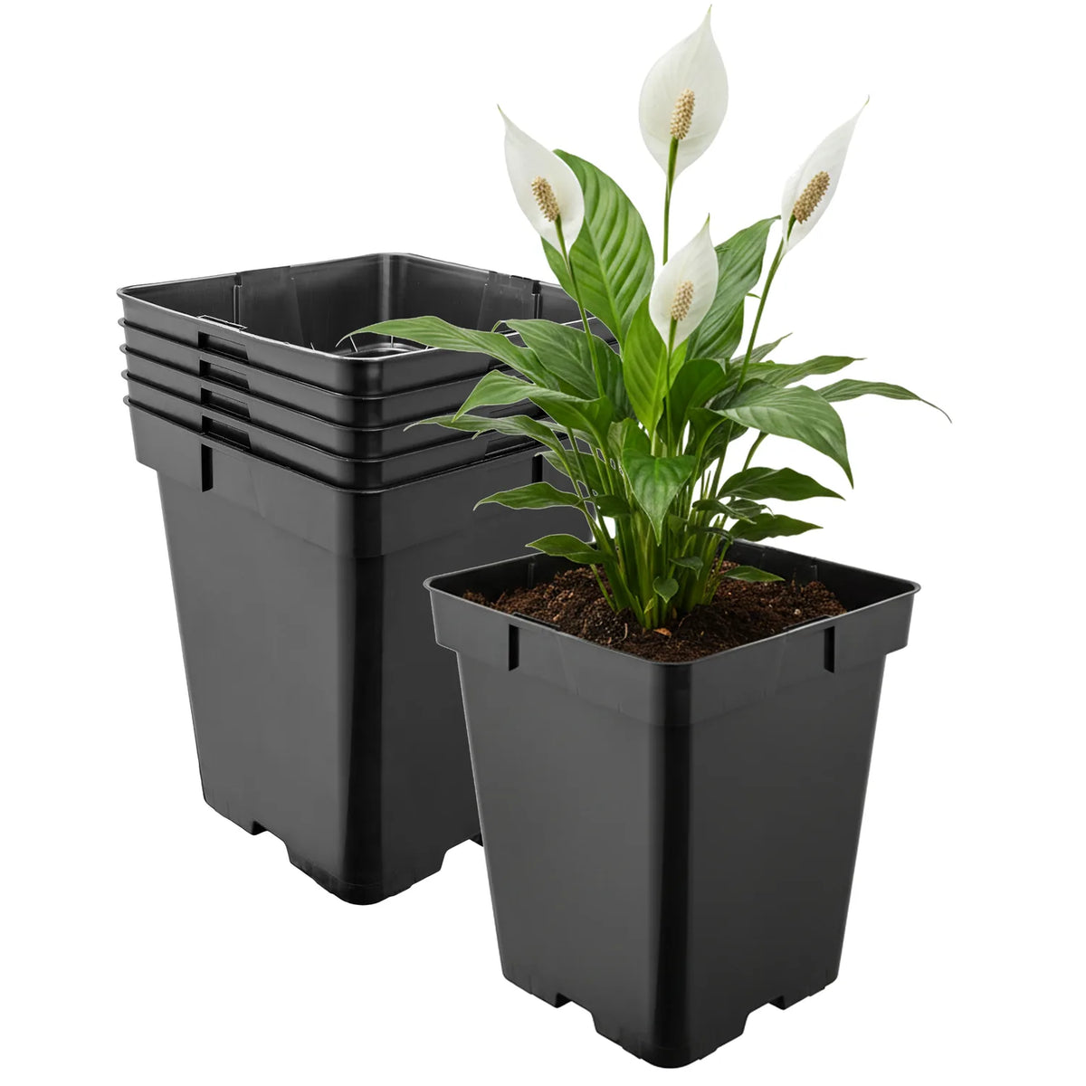 #Größe_19,5 x 19,5 x 19 cm (5L)#Set_5 Töpfe