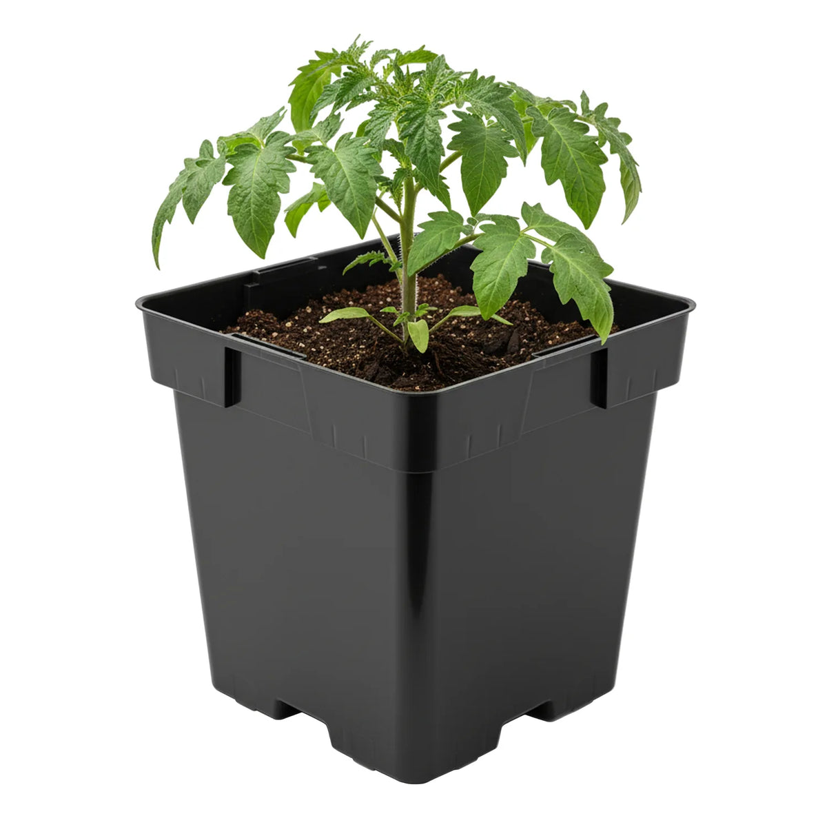 #Größe_16 x 16 x 16 cm (3L)#Set_1 Topf