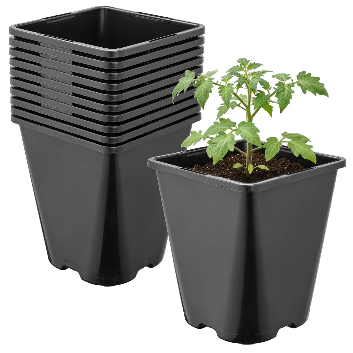 #Größe_11 x 11 x 12,5 cm (1L)#Set_10 Töpfe