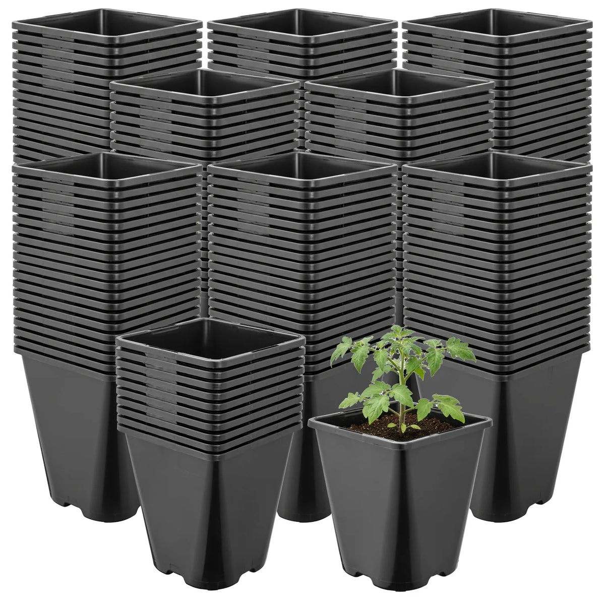#Größe_11 x 11 x 12,5 cm (1L)#Set_200 Töpfe