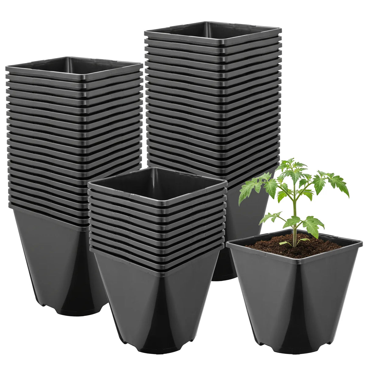 #Größe_14 x 14 x 14 cm (2L)#Set_50 Töpfe